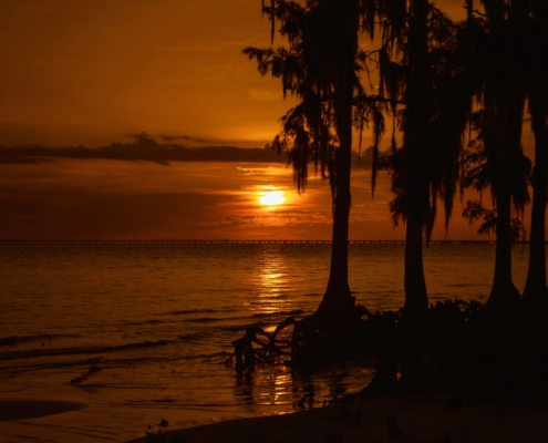 sunset at fontainebleau state park near mandeville